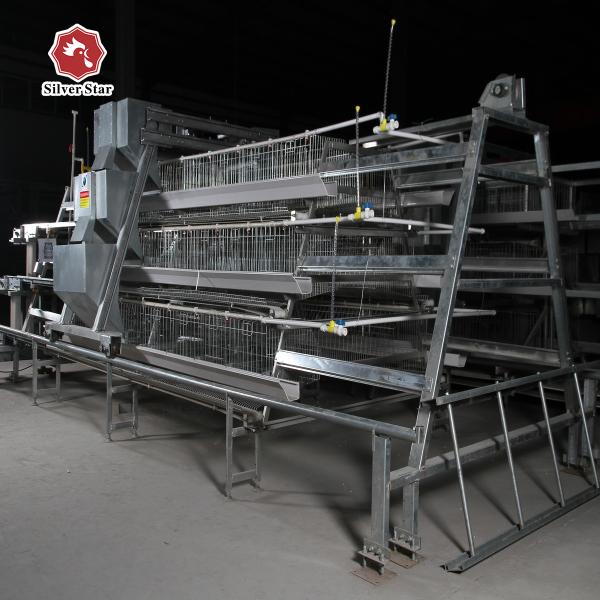 60-120 levantamento da galinha da gaiola da grelha de Chick Cage Galvanized Multi Poultry do bebê dos dias