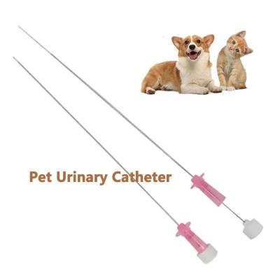 Cat Urinary Catheter With Stylet Your Go-To Solution For Feline Urinary Care!