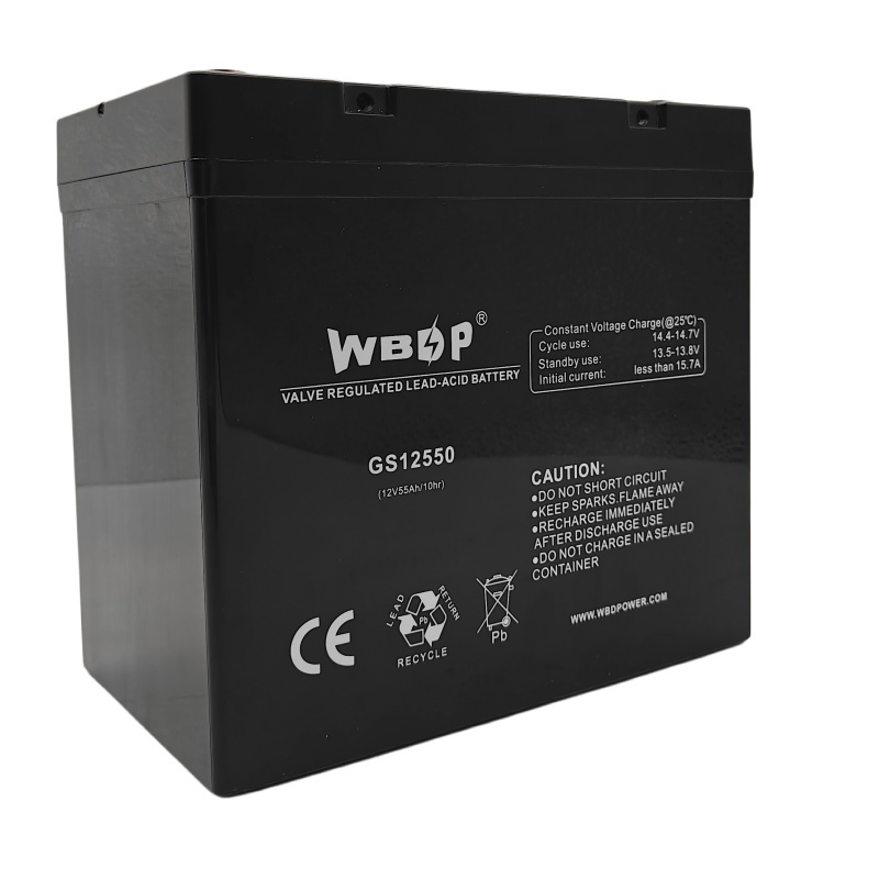 Sealed 12V 55Ah AGM Battery Maintenance Free Lead Acid Storage Battery For Solar System/ UPS/Telecom