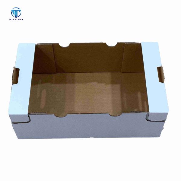 Automated Carton Tray Former 6KW Plastic Film Forming Process