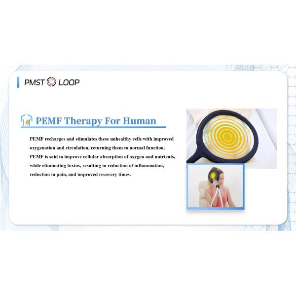 Pulsed Electromagnetic Field Reduce Inflammation Physio Magneto Pemf Magnetic Therapy Device Horse Human