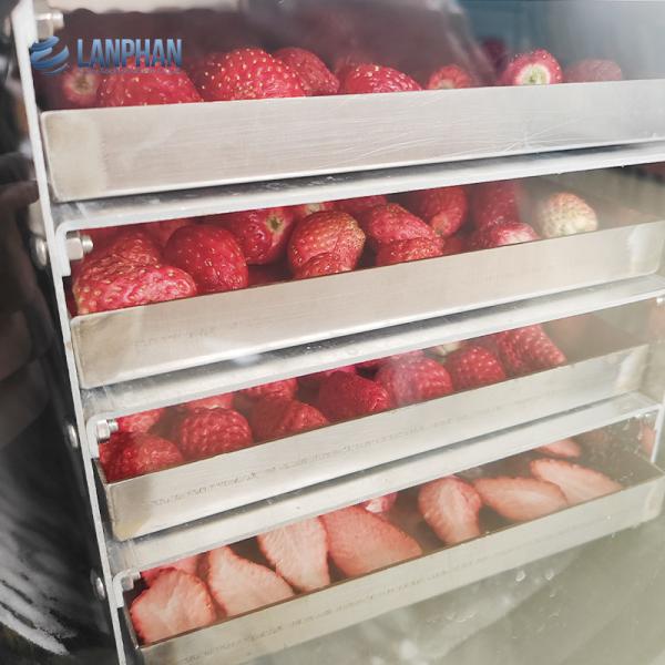 Pet Treat, Fruit Smoothie, Fruit, Vegetables, Cnady ,Food Freeze Dryers For Home