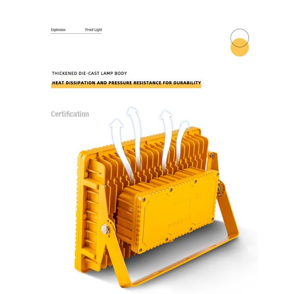 OEM Опасные взрывозащитные осветительные приборы