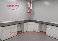 Easy Installation Chemistry Lab Furniture Warm Lab Table The Perfect Combination of Function and Style