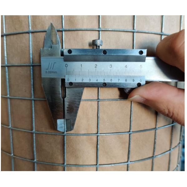 Galvanized Welded Wire Mesh The Perfect Choice for Durable Garden Fencing Solutions
