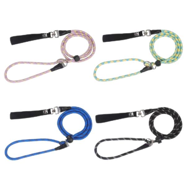 Sessões de Treinamento de Cadeia de Cães à Prova de Explosão de Alta Segurança