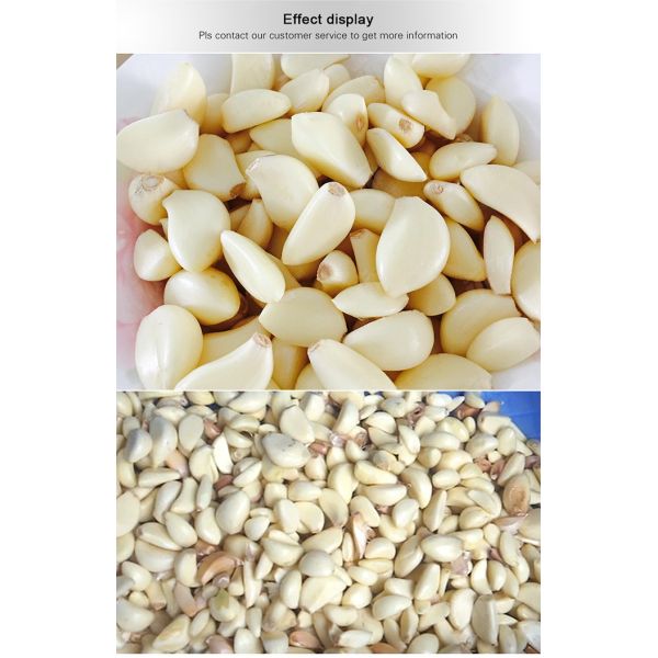 Кухонный комбайн фабрики машины шелушения чеснока 2.2KW промышленный