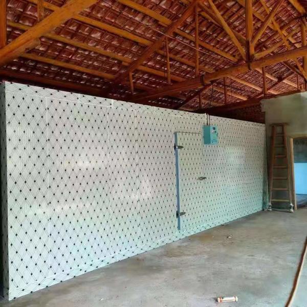 Cuarto de almacenamiento en frío personalizado para la congelación de pescado y carne con sistema de control automático