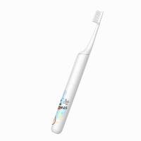 2024 Fábrica OEM Escova de Dentes Elétrica Tipo-C Carregador Sonic Escova de Dentes Elétrica Recarregável