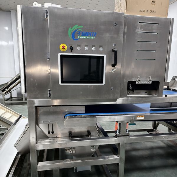 Intelligent And Efficient Auricularia Sorter: Precise Sorting, New Choice For Improving Quality