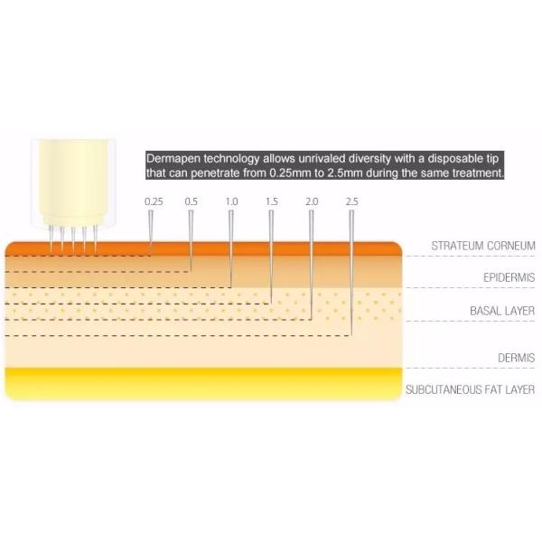 3 Color Derma Pen Electric Machine Five Stage Charging Micro Needle Beauty Instrument