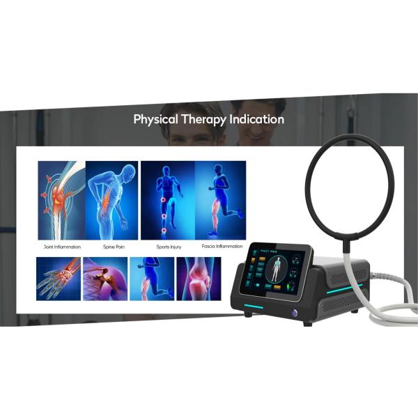 Pmst Loop Pemf Therapy Machine For Human Pain Relief Animals Health Care