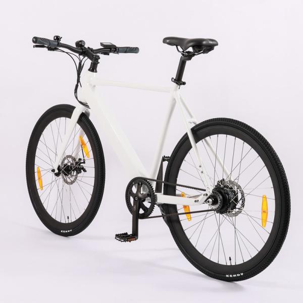 Trekking Electric Bicycle 250w City E Bike Disc Brake Lightweight Urban Bike for Adult