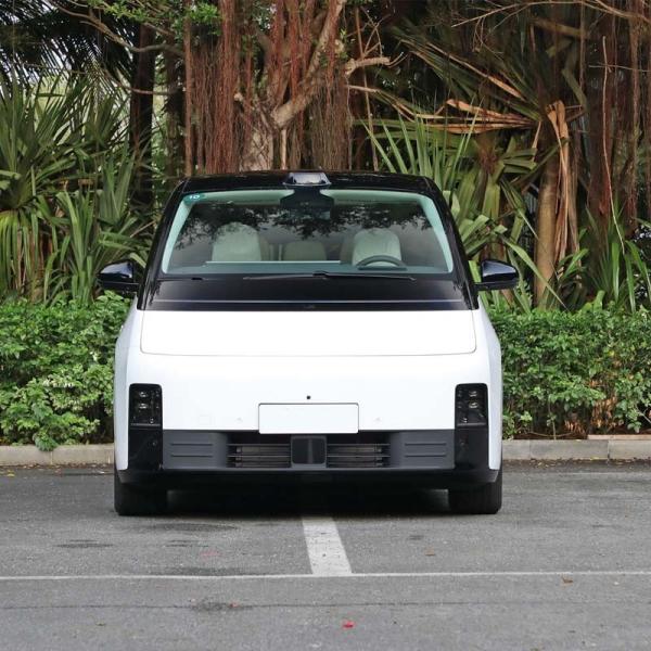 Быстрая реакция Лисян Мега транспортное средство Авто энергетический автомобиль 7-местный роскошный МПВ