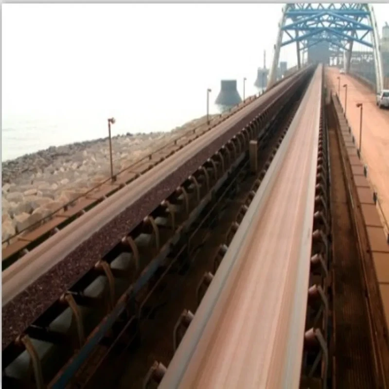 Oil Resistant Heavy Duty Rubber Belt Durable Steel Cord Conveyor Belt 200mm - 2200mm Width