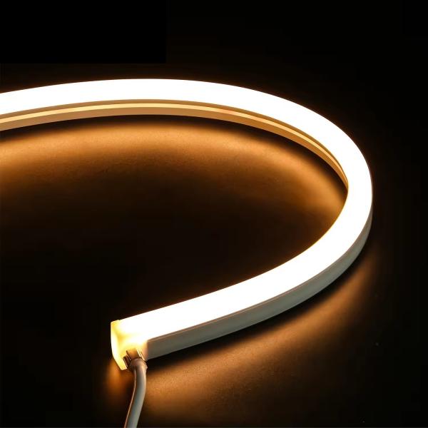 водонепроницаемость IP67 для наружного 1220 Side Bend Engineering Lighting DC24V Неонный свет Гибкая светодиодная световая лента