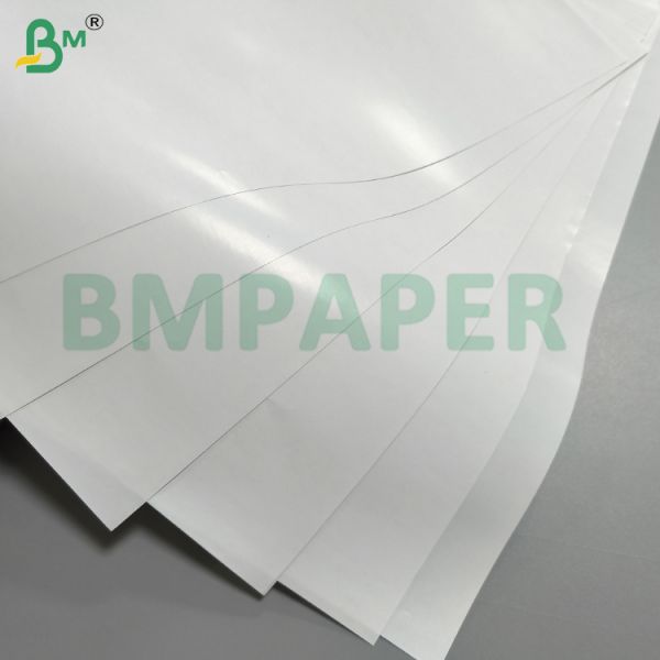 C1S White Paper Coated One Side Label Face Material For Bottle & Glass Labels