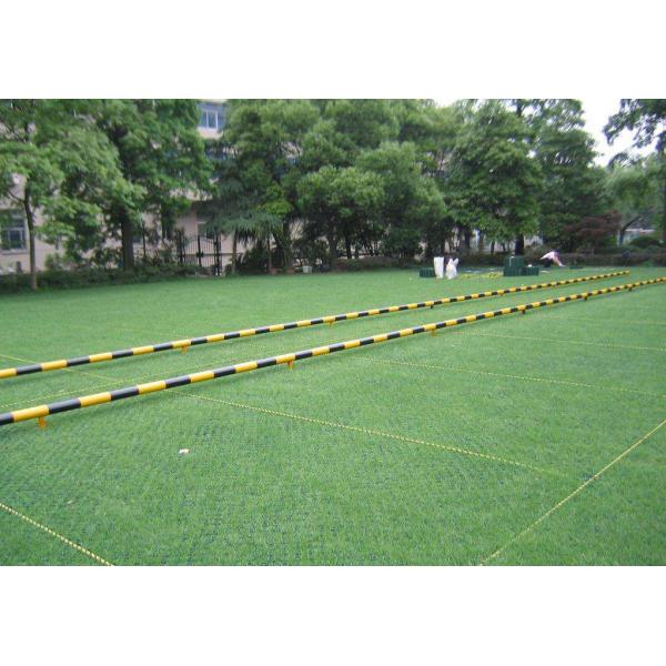 CE/ISO9001/ISO14001 Certified 38 48mm Plastic Grass Paver for Parking Lot and Driveway