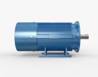 IE4 IE5 Motor de transmisión continua con imán permanente de tres fases