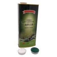 Rectangle 1 à 3 litres d'huile d'olive Cannes d'étain à imprimer Contenants d'étain vides