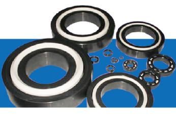 Customizable Industrial Ceramic Parts Ceramic Bearings
