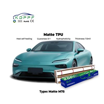 Adhesión inicial fuerte Car TPU 7.5mil PPF Película protectora transparente Película de protección de pintura mate