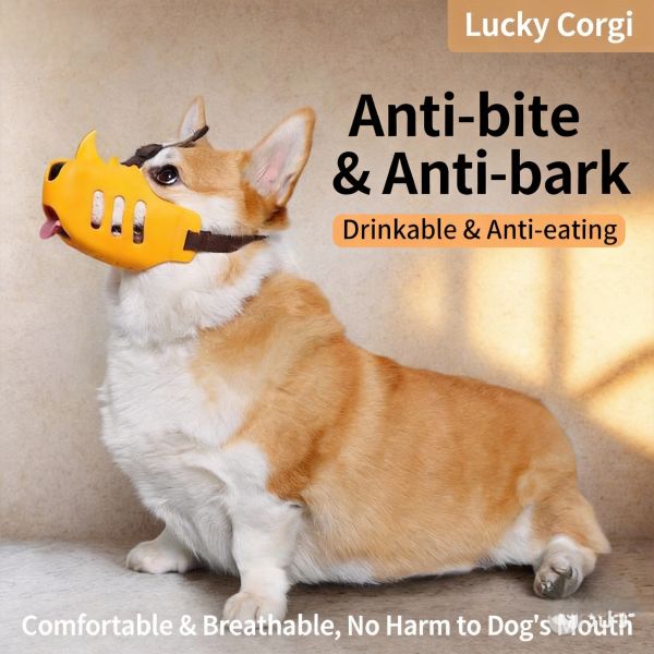 Innovative Pet Training Equipment Equipped with Multiple Feedback Modes to Enhance Communication Between Trainer and Pet
