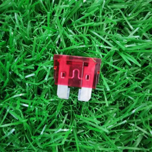 Low Voltage Automotive Blade Fuse For Cars Trucks UL Certified