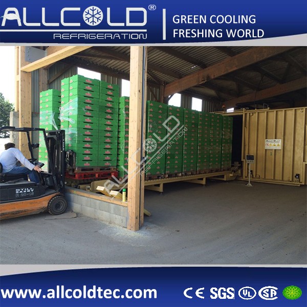 Быстрое быстрое охлаждая свежее горшечное растение срезанных цветков свежее производит паллеты ремесла воздуха машины 3 вакуума воркуя