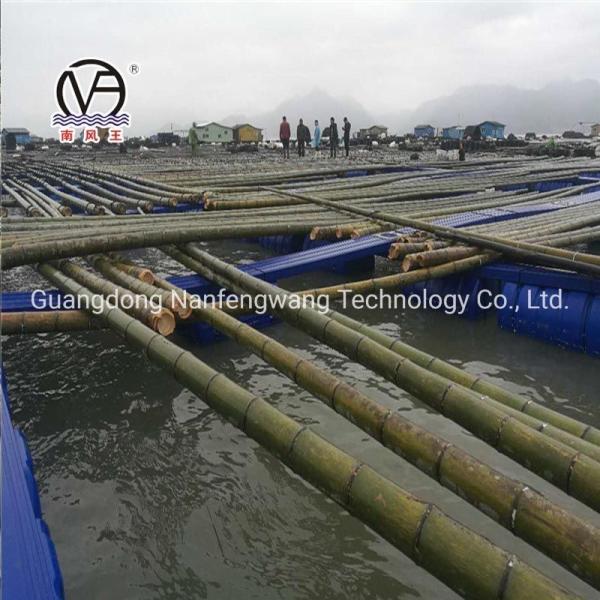 Cultivo de jaulas de pontones modulares de plástico para la agricultura verde y amarilla