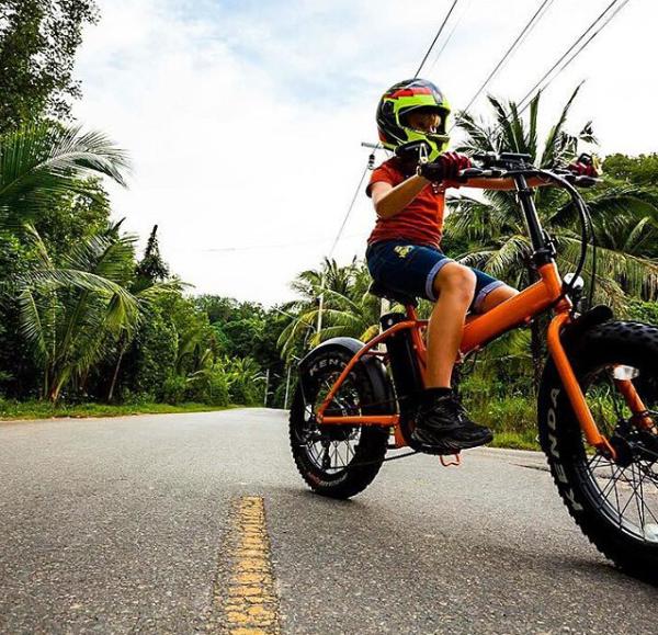 20 Inch 48v 500w Bafang Motor Folding Fat Tire Electric Bike With LCD display