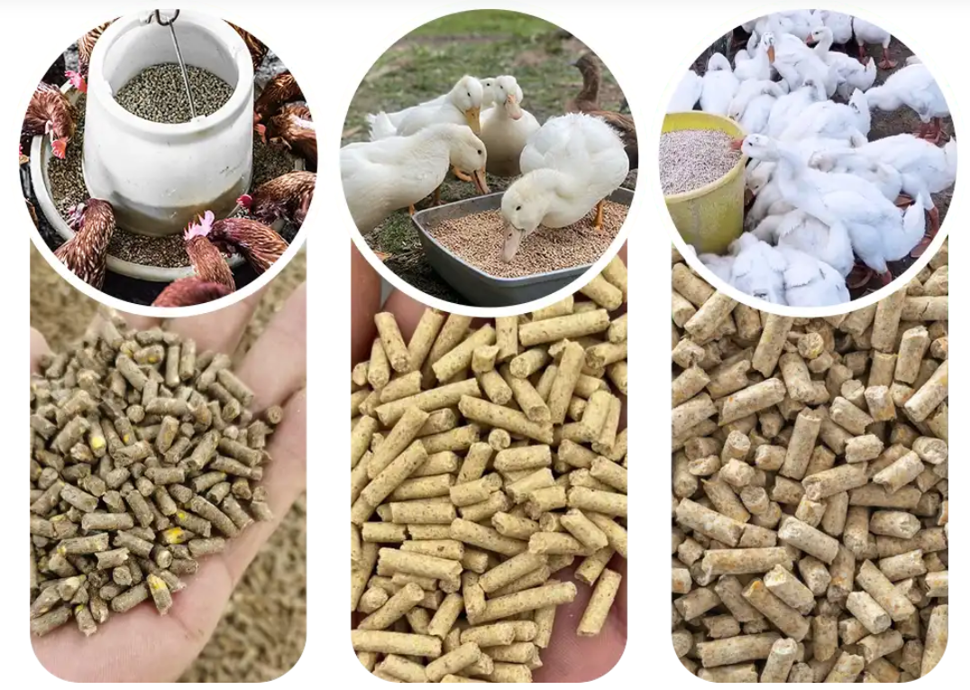 Durable Cast Iron Feed Pellet Machine High Efficiency Robust Animal Feed Machine