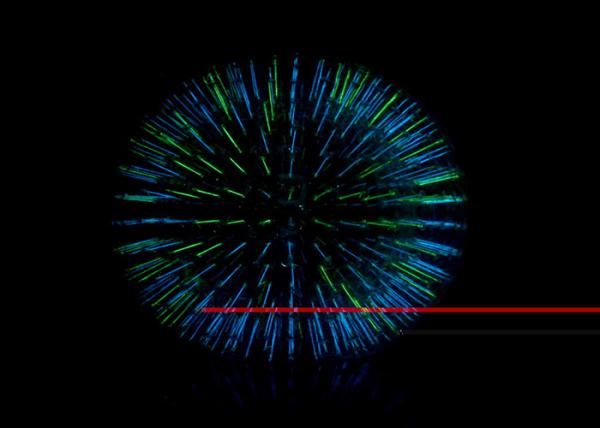 Waterproof Outdoor Inflatable Toys Shining Adult Hamster Ball / Zorb Ball
