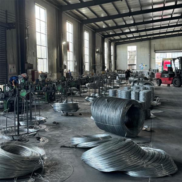 KN Hot Selling Fencing Barbed Wire Electro Galvanized Barbed Wire