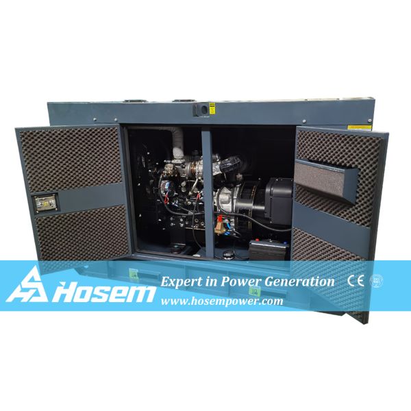 Leroy Somer Alternator 33kVA 60Hz Perkins Generator Set | Hosem Power