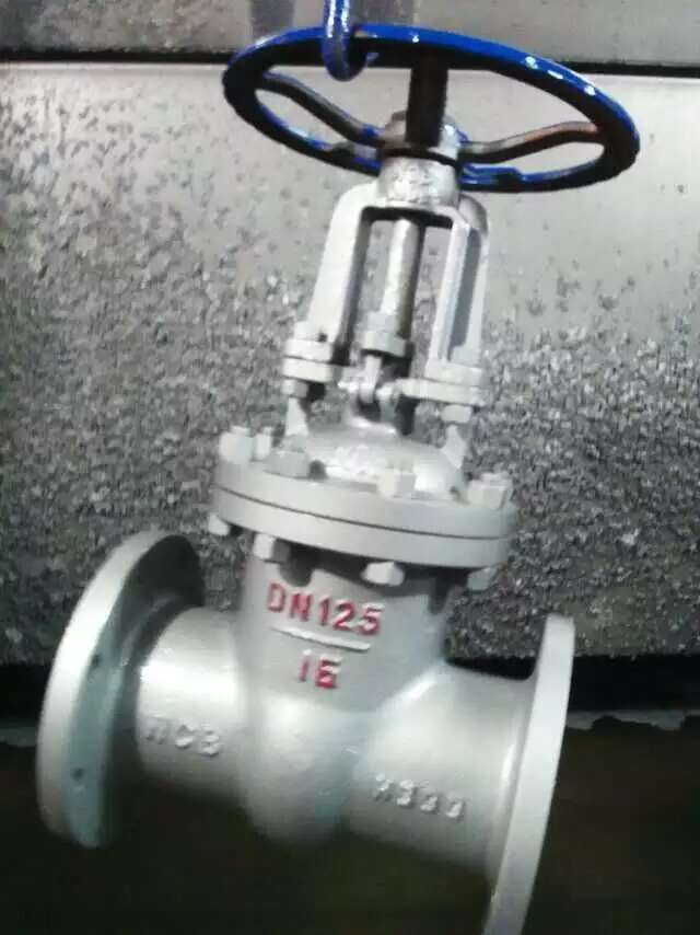 Industrial Cast Steel Gate Valve Cast Body, Custom Size Valve Castings for Pipeline Fluid Transportation
