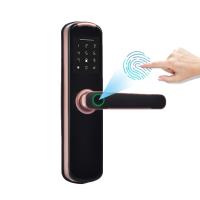 Fechadura da porta esperta Keyless biométrica Wifi BLE da impressão digital de Digitas para a casa