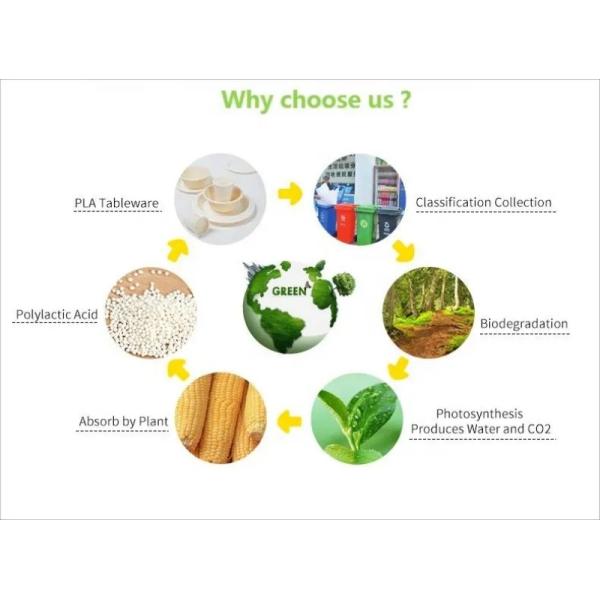 800ml 1050ml Biodegradable Take Out Containers Cornstarch Fruit Bowl With Lid