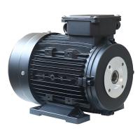 IC411 8.8A Motor de eixo oco com 35 kg de peso Classe de isolamento F