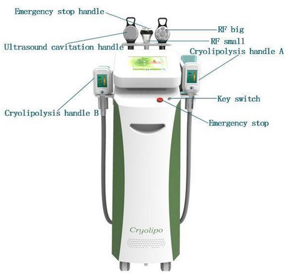 2018 latest medical CE approved far freeze cryolipolysis low price weight loss machine