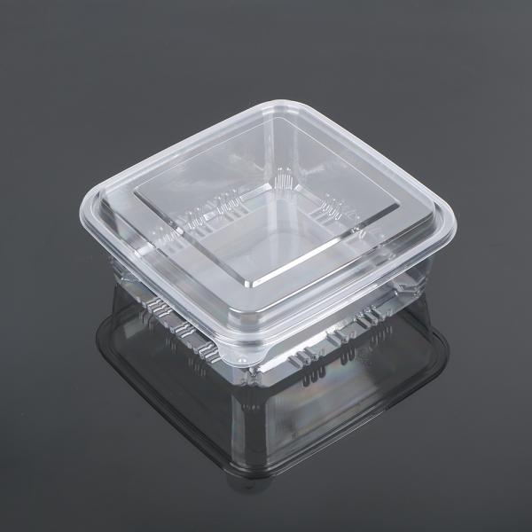 High quality hot disposable plastic transparent PET packaging cake,Disposable Fruit Tray