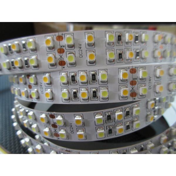 5050 2835 3528 5630 WW/W CCT dimmable led strip