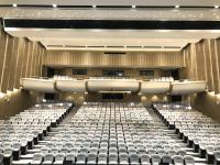 2/2/0.5mm Diffuser Auditorium Microperforated Wooden Sound Absorbing Wall Acoustic Panels