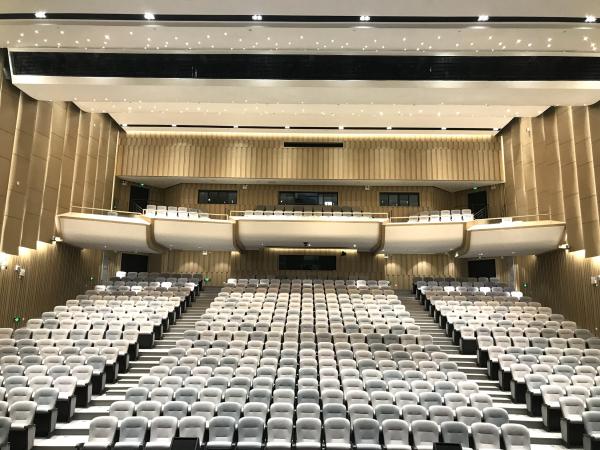 2/2/0.5mm Diffuser Auditorium Microperforated Wooden Sound Absorbing Wall Acoustic Panels
