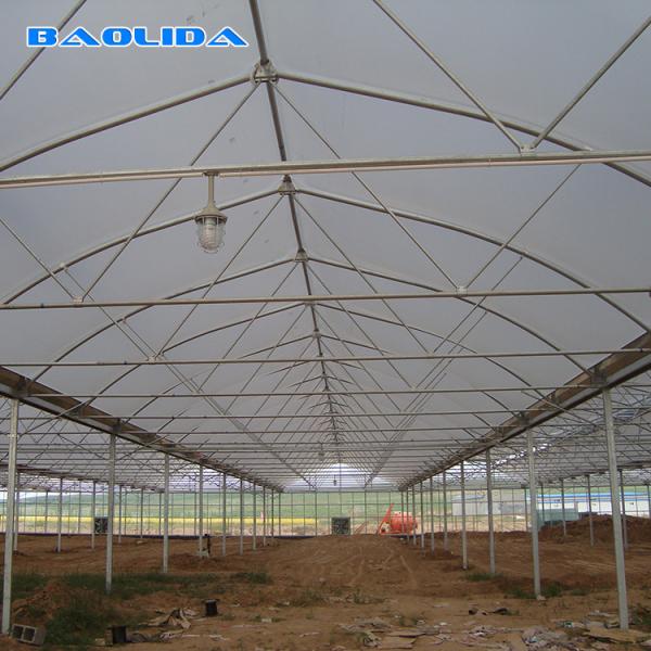 Clear 200 Micron PE Film Agricultural Greenhouse Multi Span Greenhouse