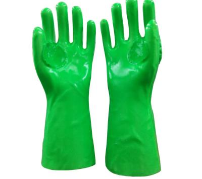 Das luvas protetoras do trabalho da cor verde proteção fria eficaz para a indústria alimentar