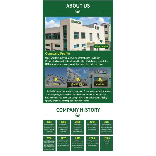 Hot Sale Free Sample Best Price Premium 50mm Artificial Grass for Professional Football Fields