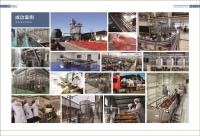 Línea de transformación completa del tomate SS304 operación fácil de 1500T/D