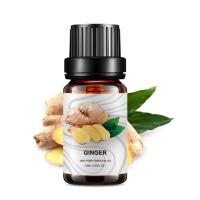 Perda de peso 100% do óleo essencial do OEM do gengibre da massagem JIANFENG natural