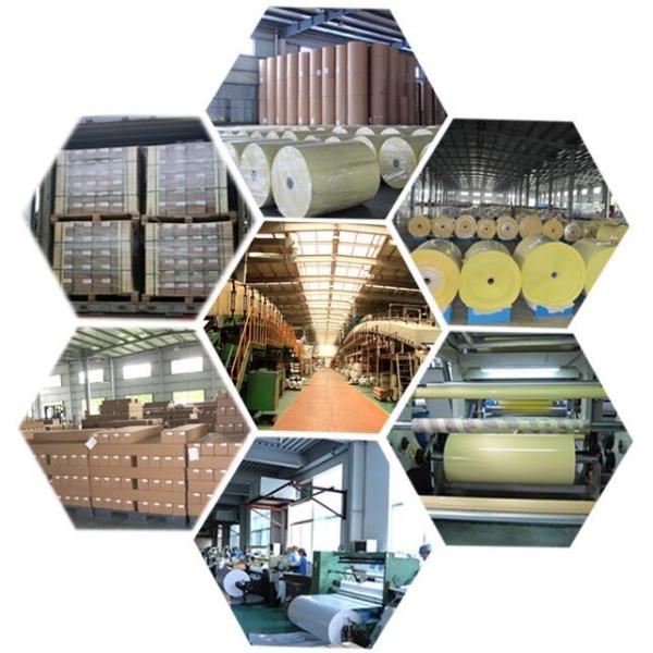 Electrostatic Pvc Self Adhesive Window Film Fire Resistant Environmental Protection